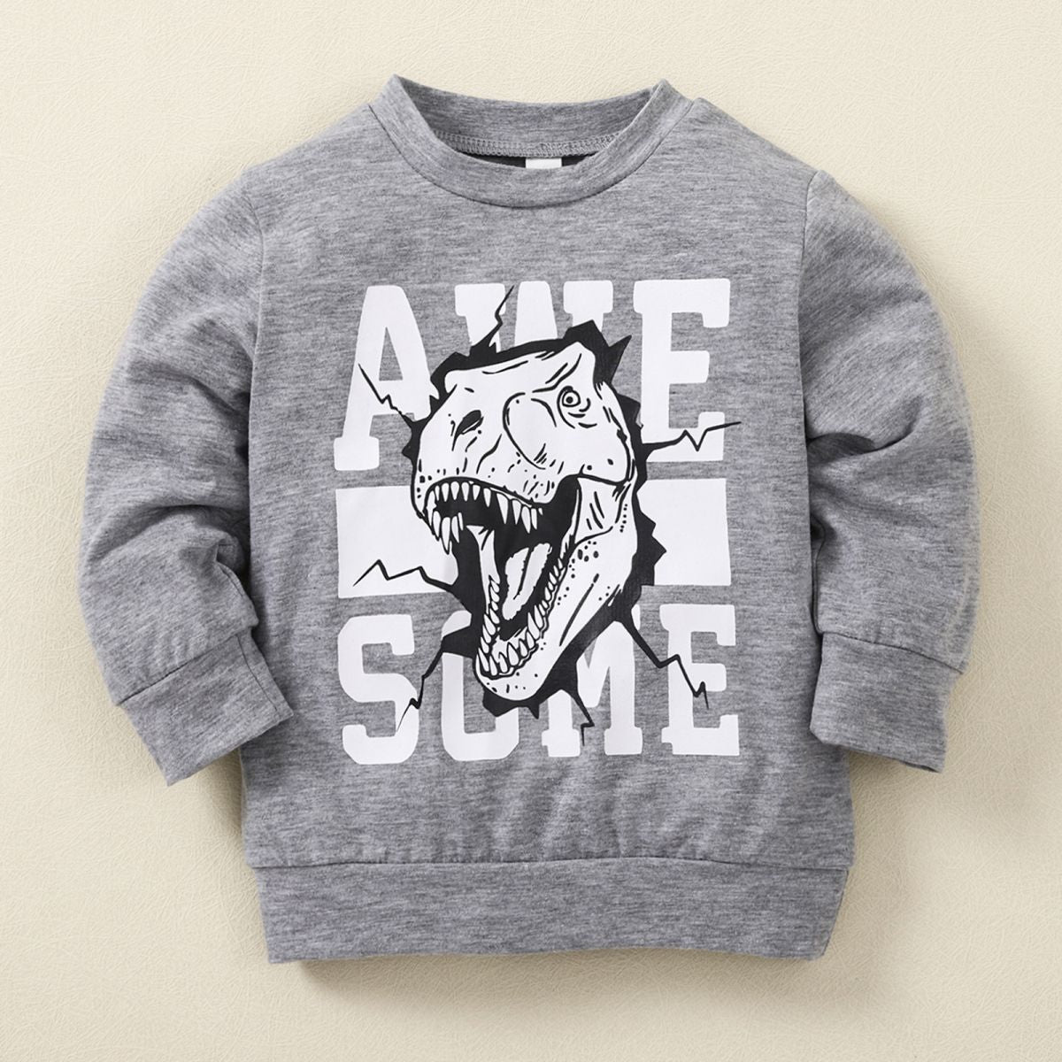 Kids Graphic Cozy Top and Dinosaur Print Joggers Set