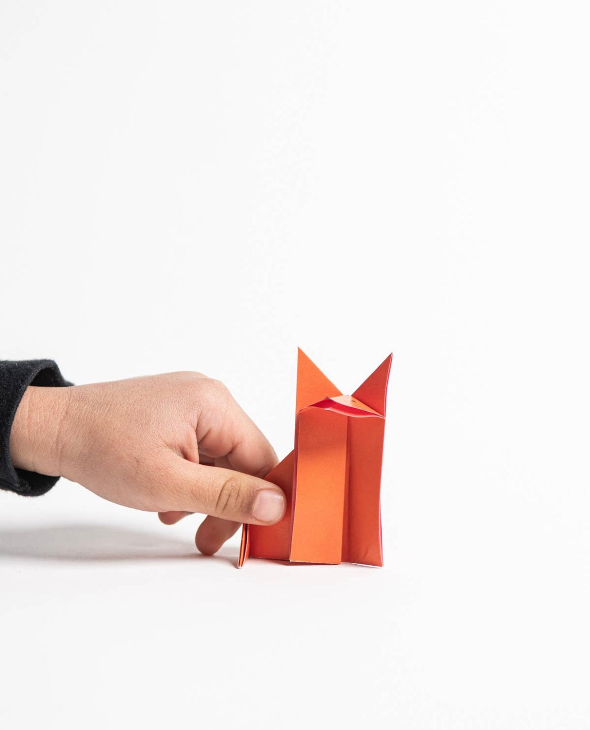 Animal Origami Kit